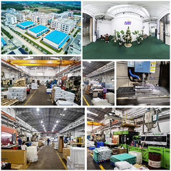 Porcellana Shenzhen Flyon Sports  Co., Ltd. Profilo aziendale
