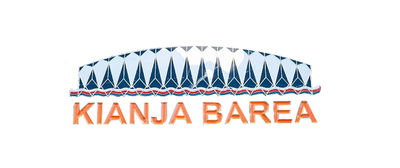 Shenzhen Flyon Sports  Co., Ltd.