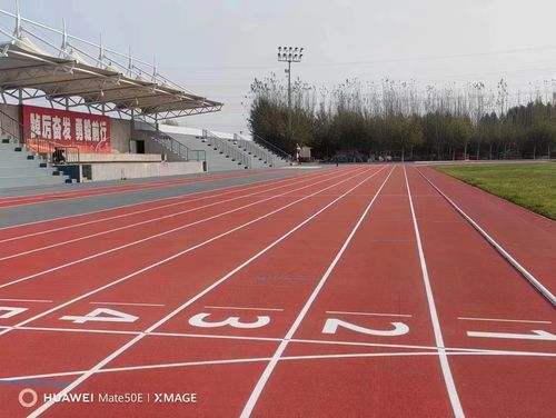 Latest company news about La differenza tra pista di gomma e pista di plastica