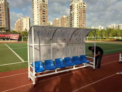 Latest company news about Lo stadio del cuore è stato ufficialmente aperto