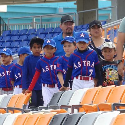 Buon prezzo Sedia per stadio in plastica HDPE con caratteristiche anti-invecchiamento, anti-UV e ignifughe per stadi e arene online