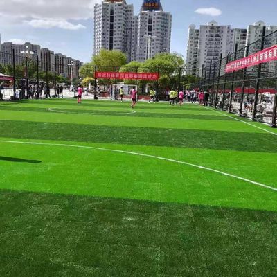 Buon prezzo Erba artificiale sintetica materiale del PE pp per addestramento della scuola di calcio online