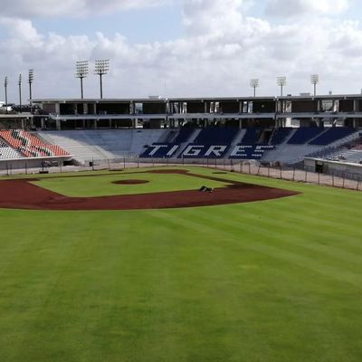 Buon prezzo Punta dell'installazione del pavimento sullo stadio di plastica che mette l'anti prova a sedere di fuoco UV antinvecchiamento online