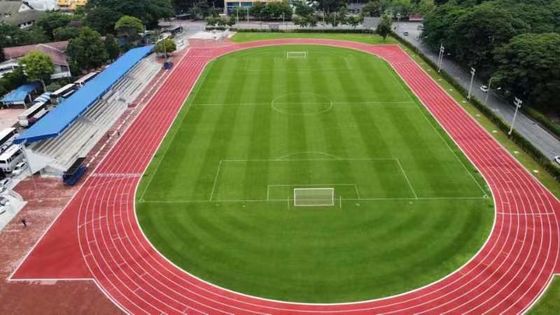 Buon prezzo Tracce di gomma da corsa per centri di fitness online
