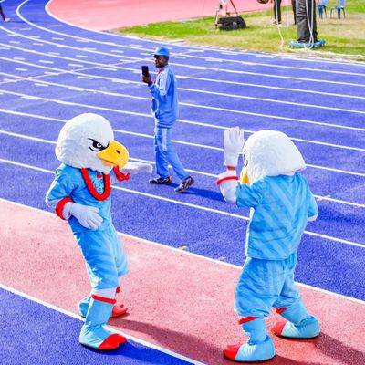 Buon prezzo Panino non tossico che esegue pista, pista di corsa atletica con la certificazione di IAAF online
