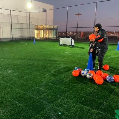 Anti erba artificiale antinvecchiamento UV 45mm, × sintetico 50cm dell'erba 50cm di sport