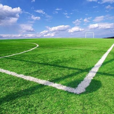 Buon prezzo UV dell'erba artificiale sintetica del campo di football americano anti per l'abbellimento del ODM dell'OEM della decorazione online