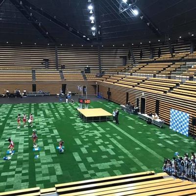 Buon prezzo erba artificiale del sintetico di altezza di 45mm per il certificato dello SGS della corte di sport di calcio di calcio online