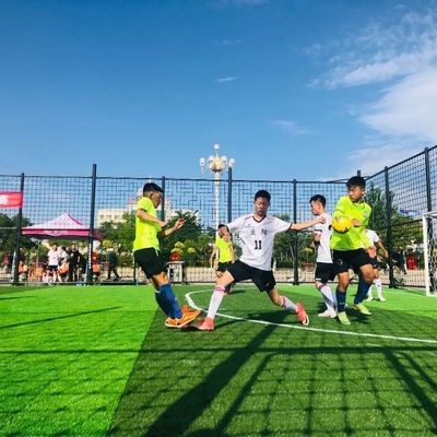 Buon prezzo sintetico di 50mm che collega erba artificiale per la corte di calcio online