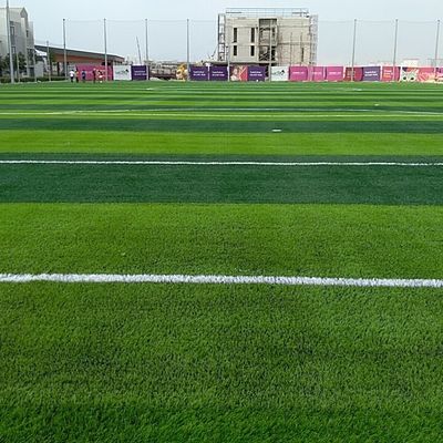 Buon prezzo L'abbellimento del cortile è reso facile con l'erba artificiale sintetica in materiale PE PP online