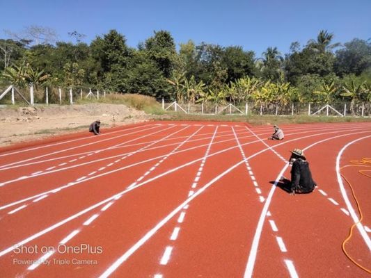 Buon prezzo Corsa di competizione personalizzata con resistenza al decadimento online