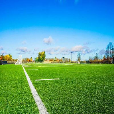 Buon prezzo 40-60 mm erba artificiale verde 22000 densità PP NET supporto online